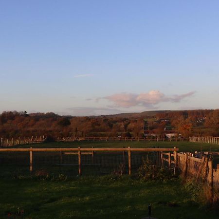 Mere  Mapperton Barn House B&B Nr Stourhead & Longleat מראה חיצוני תמונה